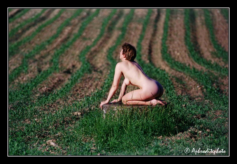 008 Lignes de labour